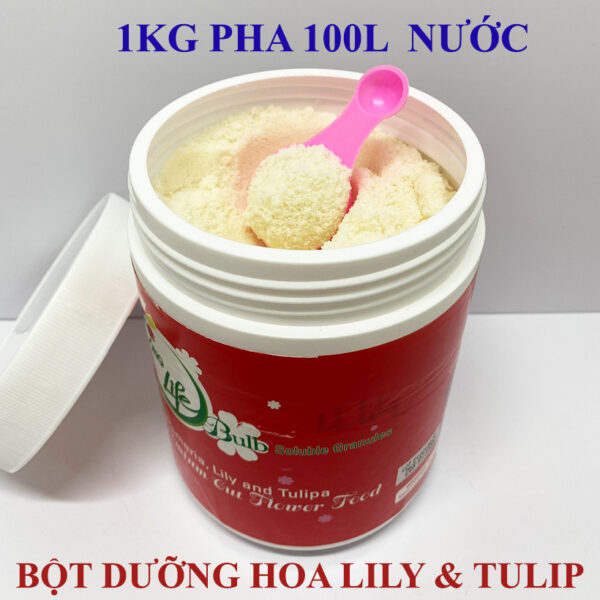 Nước Cắm Hoa Tulip LongLife Bulbs Israel Dạng Bột 1KG (Pha 100L Nước)