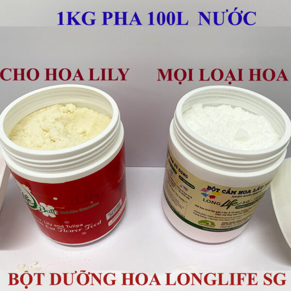 Nước Cắm Hoa Tulip LongLife Bulbs Israel Dạng Bột 1KG (Pha 100L Nước)