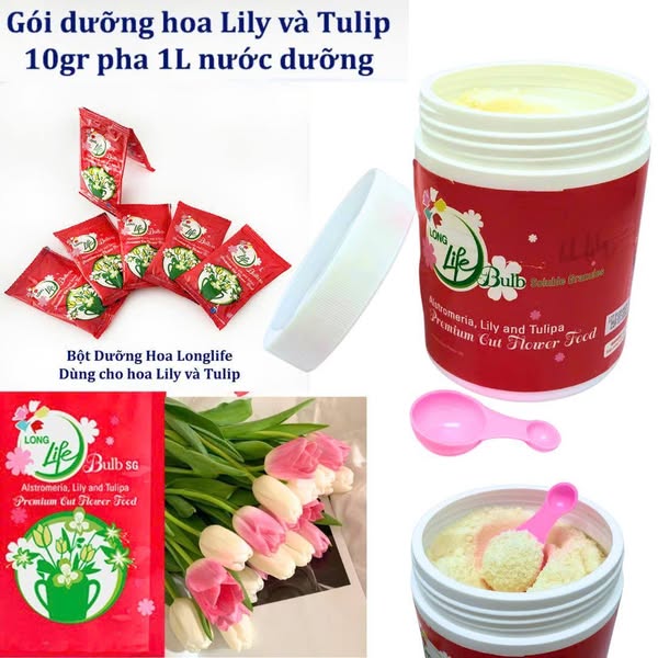 Thuốc Dưỡng Hoa Ly Tulip Long Life Bulbs Màu Đỏ
