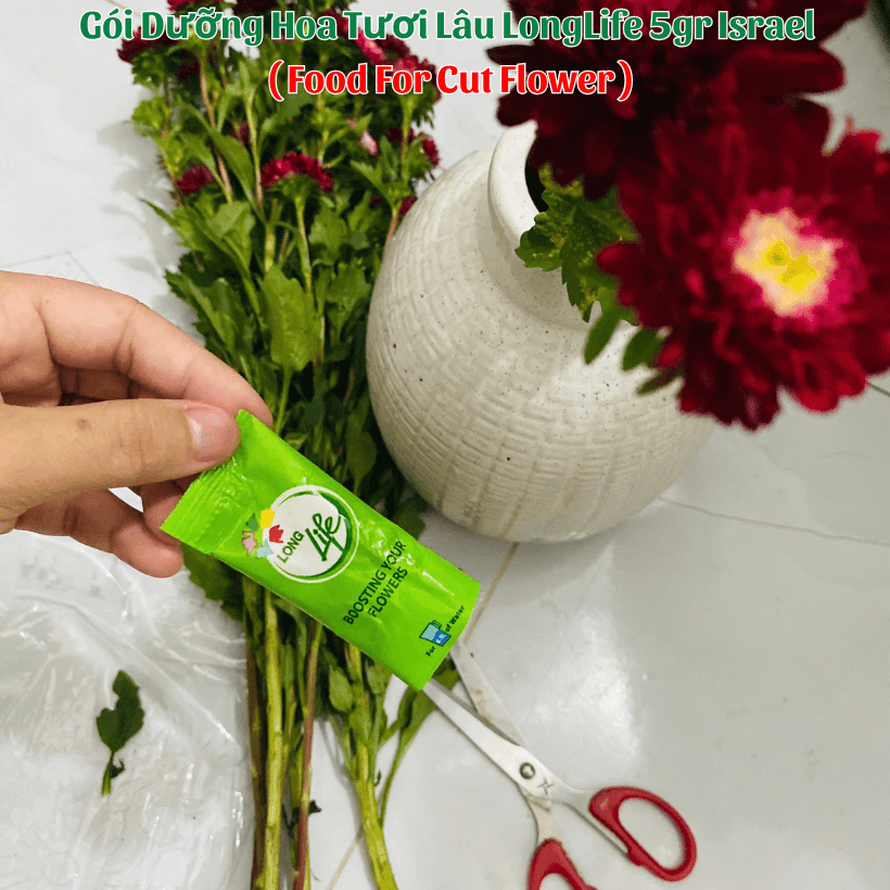 Gói Dưỡng Hoa Tươi Longlife Israel