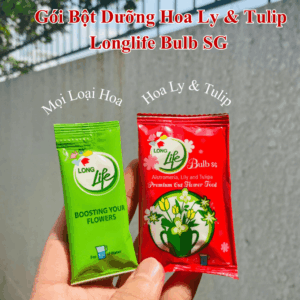 Gói Dưỡng Hoa LongLife Bulbs Israel Cho Hoa Ly Tulip Màu Đỏ (Hộp 5 Gói)