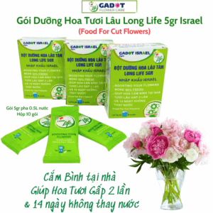 Gói Dưỡng Hoa Longlife Israel – Bí Quyết Giữ Hoa Cắm Bình Tươi Lâu Không Cần Thay Nước