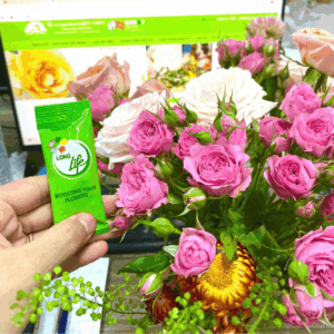Nước Cắm Hoa Tươi LongLife Nhập Khẩu Israel (Food For Cut Flower)