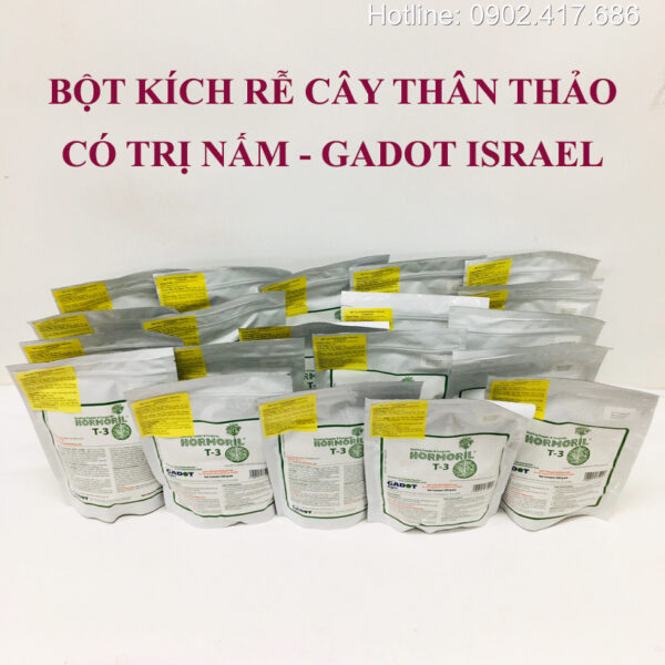 Thuốc Kích Rễ Israel Hormoril T3 – Nhân Giống Hoa Cúc Ra Rễ Nhanh