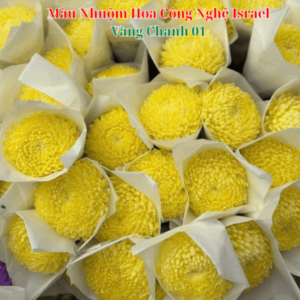 Nước Nhuộm Hoa Tươi Màu Vàng Chanh