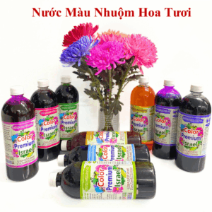 Nước Màu Nhuộm Cho Hoa Tươi – 20 Màu Sắc Đẹp Tự Nhiên