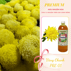 Chai Nước Nhuộm Hoa 1L Màu Vàng Chanh Công Nghệ Israel