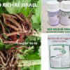 Thuốc Kích Rễ Israel Hormoril T3 – Nhân Giống Hoa Cúc Ra Rễ Nhanh