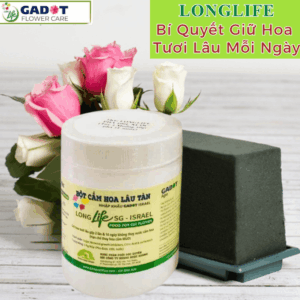 Nước Cắm Hoa LongLife Israel Giúp Hoa Cắt Cành Tươi Lâu