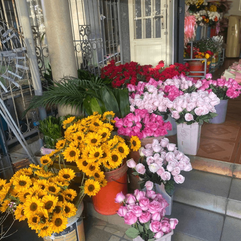 Bột Pha Nước Cắm Hoa LongLife Israel Giúp Hoa Cắt Cành Tươi Lâu