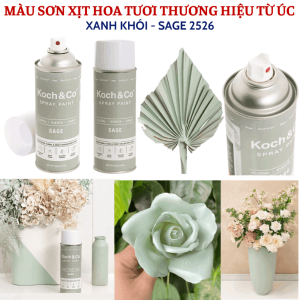 Sơn Hoa Tươi Màu Hồng Nhạt Blooming Pink 2506 Koch & Co Floral Event Craft Spray Paint 340g (Australia)Sơn Hoa Tươi Màu Hồng Nhạt Blooming Pink 2506 Koch & Co Floral Event Craft Spray Paint 340g (Australia)