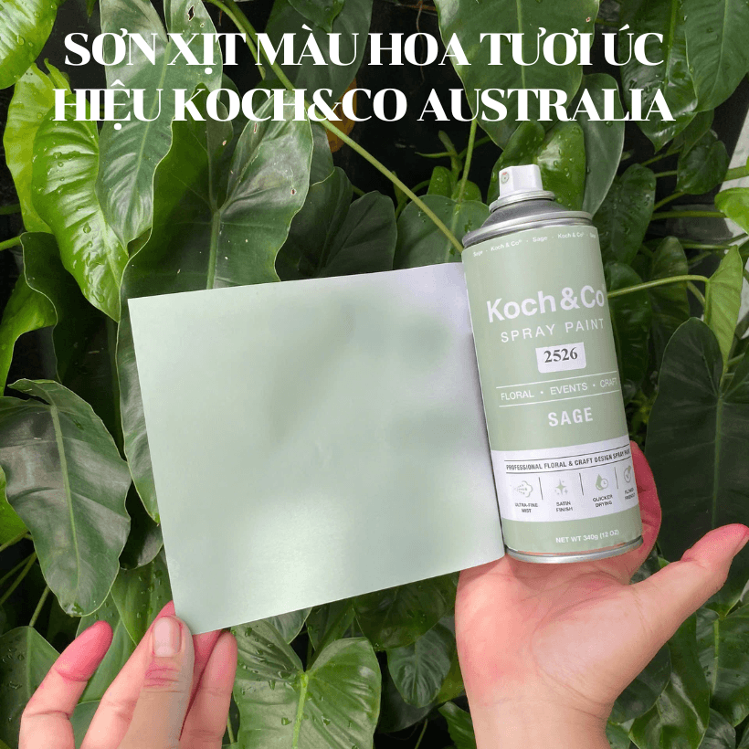 Sơn Xịt Màu Hoa Tươi Xanh Khói Sage 2526 Koch&Co