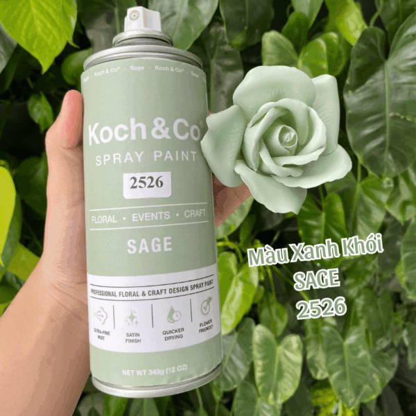 Sơn Xịt Màu Hoa Tươi Xanh Khói Sage 2526 Koch&Co