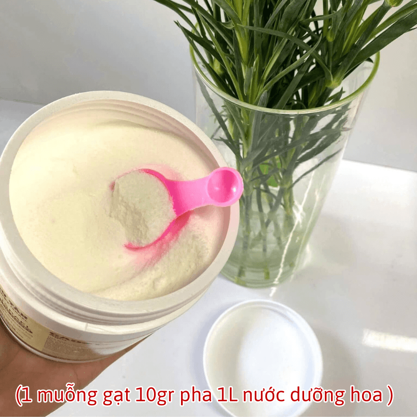 Bột Pha Nước Cắm Hoa LongLife Israel Giúp Hoa Cắt Cành Tươi Lâu