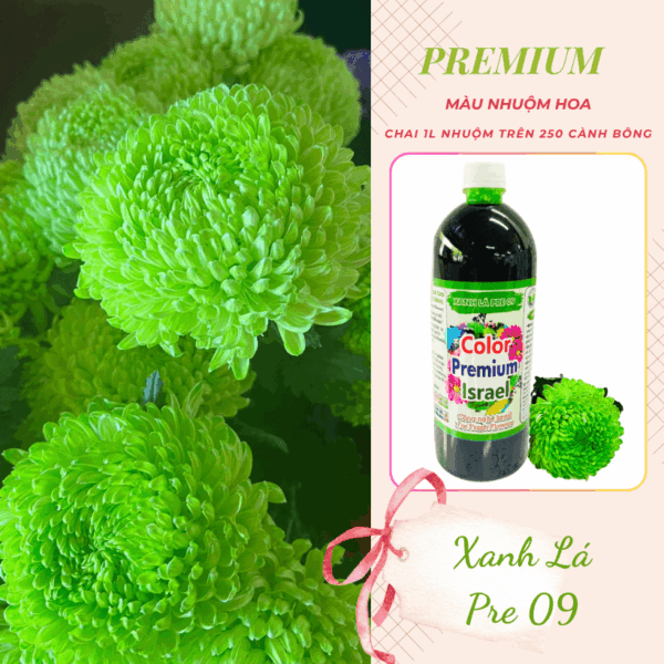 Nước Nhuộm Hoa Tươi Màu Xanh Lá Pre 09