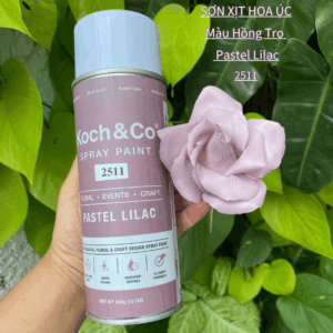 Sơn Xịt Hoa Tươi Koch&Co 26 Màu Cho Florist Chính Hãng Úc