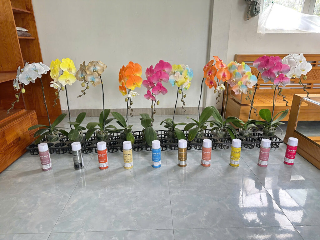Sơn xịt màu hoa lan hồ điệp