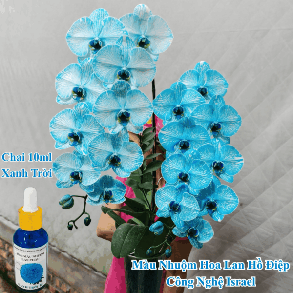 Thuốc Nước Nhuộm Hoa Lan Hồ Điệp Trắng Orchid Đổi Màu (10ml đậm đặc)
