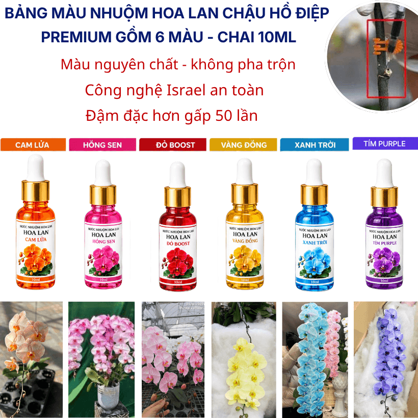Thuốc Nước Nhuộm Hoa Lan Hồ Điệp Trắng Orchid Đổi Màu (10ml đậm đặc)
